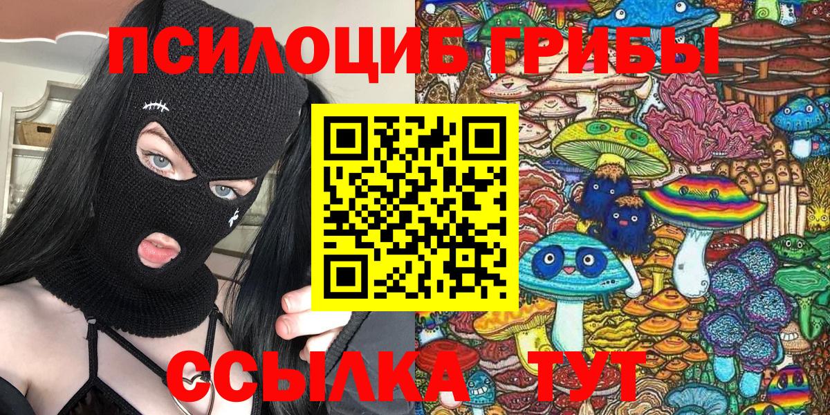 Псилоцибиновые грибы GOLDEN TEACHER Зеленогорск