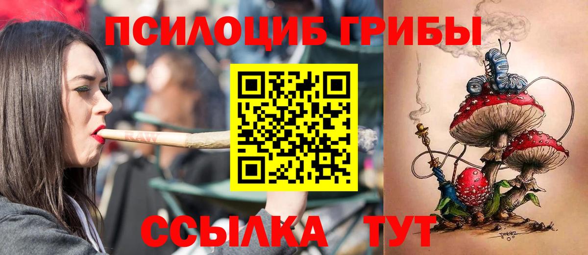 Зеленогорск  наркошоп  Вход с VPN  Псилоцибиновые грибы мухоморы 
